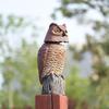 Owl Bird Decoy Plastic Deterrents Statue,Nature Enemy for Outdoor Garden Yard