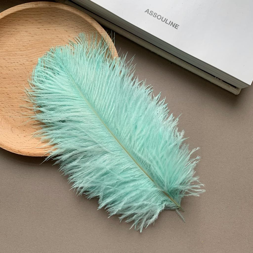 Color ostrich hair 15-20CM ostrich feather Internet celebrity photo background wall feather cake flower arrangement DIY decoration