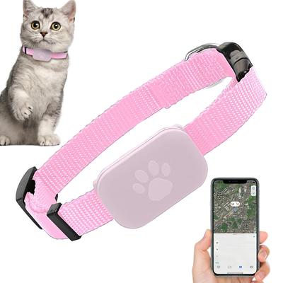 Köpek – Köpek Tasmaları ve Tasma Kayışları