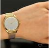Часы Bering 17031-334
