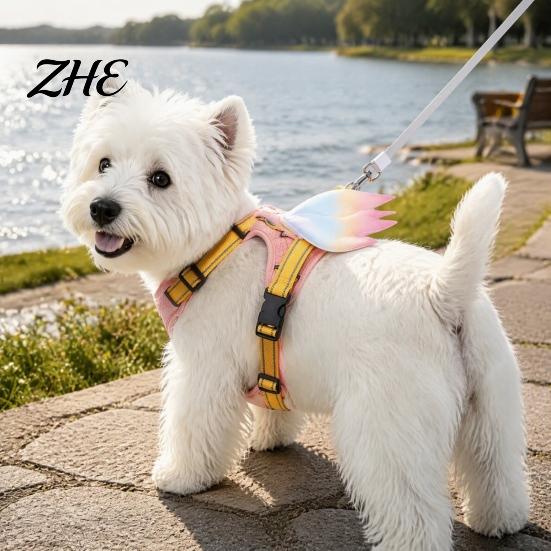 Fashionable Dog Apparel No Pull Harness with 5Ft Leash, Cute Colorful Wings Harness, Adjustable Wing Design Reflective Vest Handle for Walking
