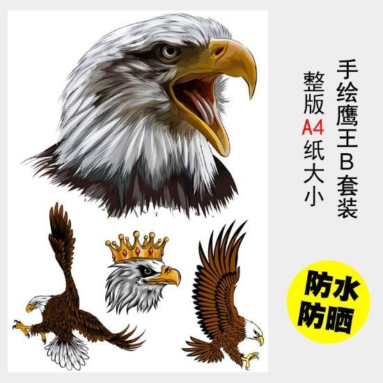 Cartoon Eagle Car Decals Auto Bumper Body Window Scratches Cover Water-Repellent Animal Decals Premium