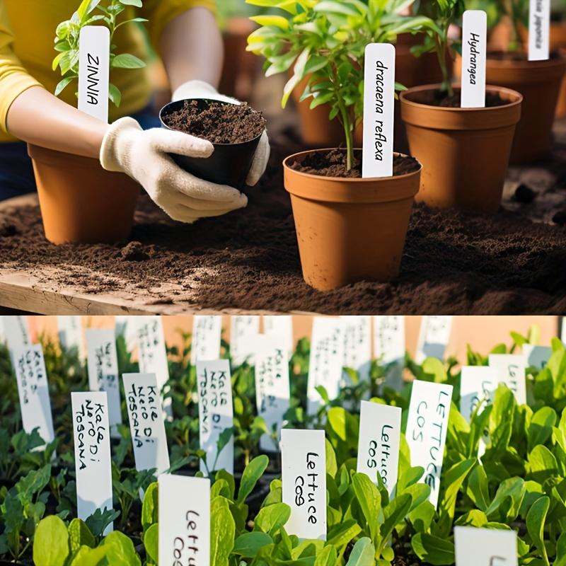 100pcs Plant Labels 4-Inch Plastic Plant Name Tags Waterproof Garden Labels for Flowers Herbs Potted Plants And Vegetable Pots