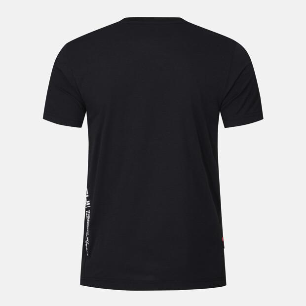 DESCENTE Swiss Triathlon Short Sleeve T-Shirt Black Sr223Its53 (A Type)