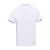 Li Ning Sports Lifestyle Series Solid Color Casual Breathable Straight Leg Sports Polo Shirt Men Tops White APLU771-2