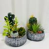 Macetas de cemento de alta calidad del fabricante, plantas suculentas artificiales, plantas en maceta y adornos decorativos de interior