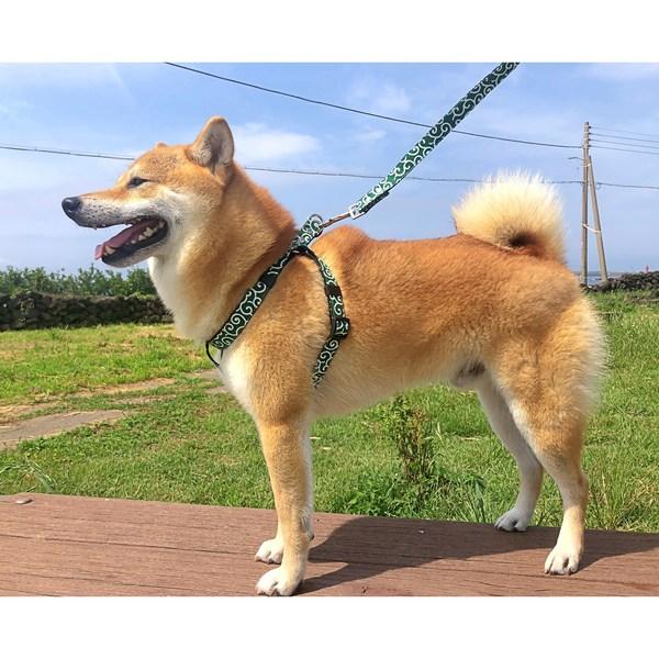 Dog Chest Leash, Harness for Small and Medium-sized Dogs, Shiba Inu Walking Leash, Anti-dog Supplies, Red