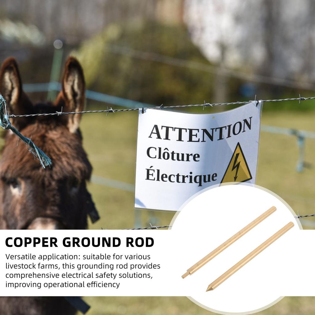 Electric Fence Ground Rod 8mmx300mm Copper Brass Pin Galvanized Rod for Livestock Fence Protection Outdoor Ground Stake