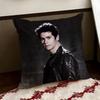 DDylan OBrienS Cushion Cover Reversible Soft Durable Pillow Cover Home  Car MultiScene Use for Daily Comfort