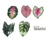 Creative Acrylic Tropical Plant Magnetic Fridge Sticker - Simulation Leaf Design