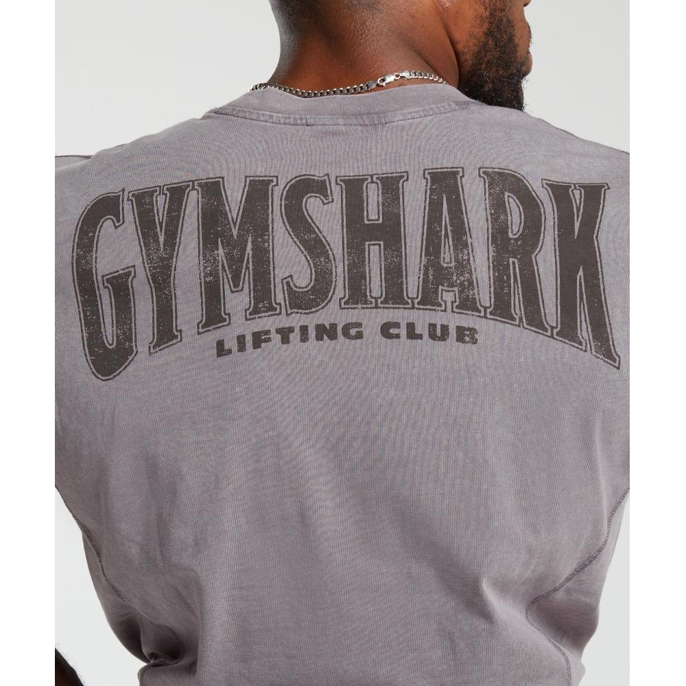 Gymshark HeriTage Washed T shirT Fog Purple A4a9h pbvT