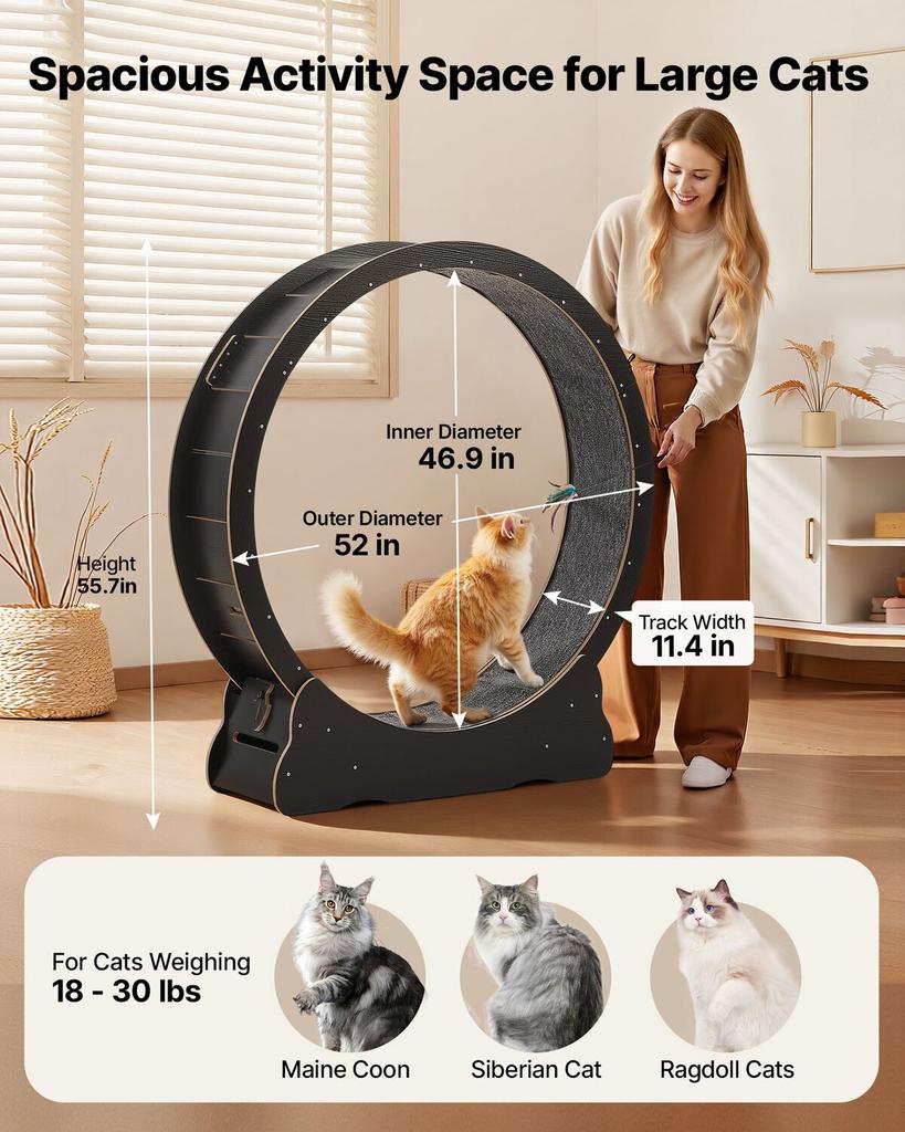 Cat Exercise Wheel, 132cm Wooden Cat Running Wheel for Indoor Kitten up to 12.7kg, Cats Treadmill with Carpeted Runway & Locking Mechanism, Quiet Cat