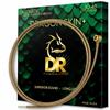 DR Strings Acoustic Guitar Strings DRAGON Phosphor Bronze SKIN+ DAP-10