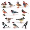 Mandarin Duck Bird Model Pvc Realistic Parrot Desktop Decor For Kids And Collectors
