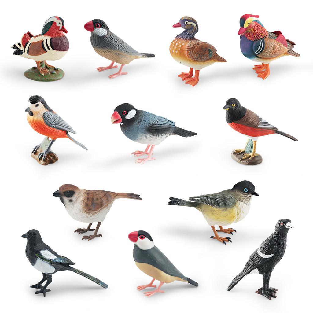 Mandarin Duck Bird Model Pvc Realistic Parrot Desktop Decor For Kids And Collectors