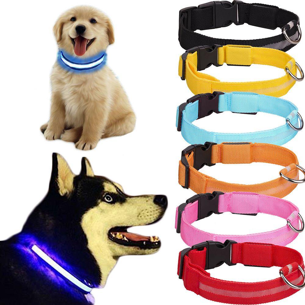 luminous dog harness