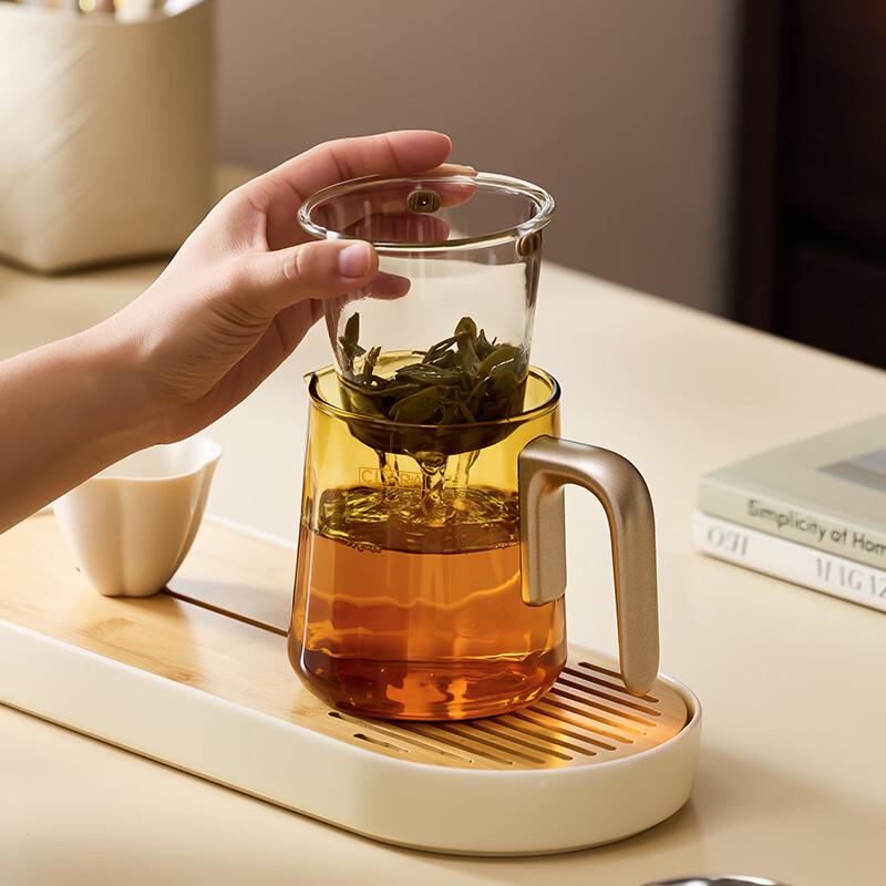 Klara Borosilicate Glass Tea Infuser Mug