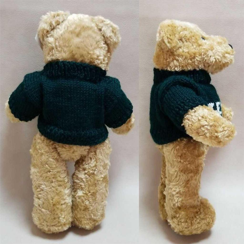 [USED] British Teddy Bear's Brother