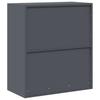 Storage Cabinet Anthracite Grey 80 x 40 x 90 cm Steel