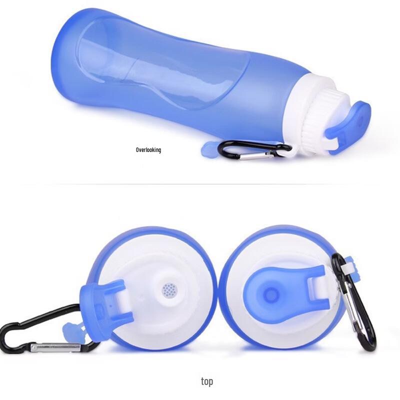Lishi Foldable Silicone Water Bottle