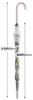 Skater Long Vinyl Adult Disney Mickey (skater) Umbrella, Umbrella, Size, Mouse, 60cm, UBV4-A
