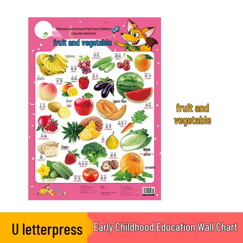 Embossed Early Learning Educational Wall Charts for Toddlers