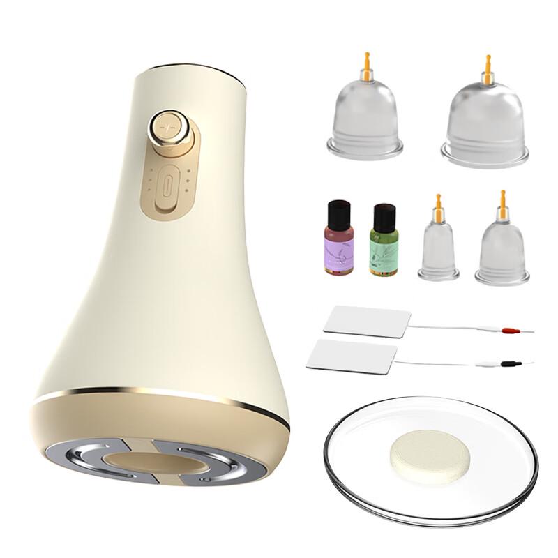 Hezheng Multifunctional Negative Pressure Meridian Massager HZ-P1 CN plug (adapter included)