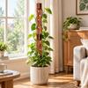 Extendable Plant Support Frame Hollow Out Plant Fixed Frame Plant Stand  Indoor