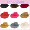 Classic Fedora Wool Felt Hat With Wide Brim For Summer Casual Style Characters Included)