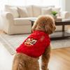 Festive Warm Dancing Lion Cat Coat Fluffy Embroidered New Year Pet Vest Red Soft Winter Dog Jacket Puppy Dogs