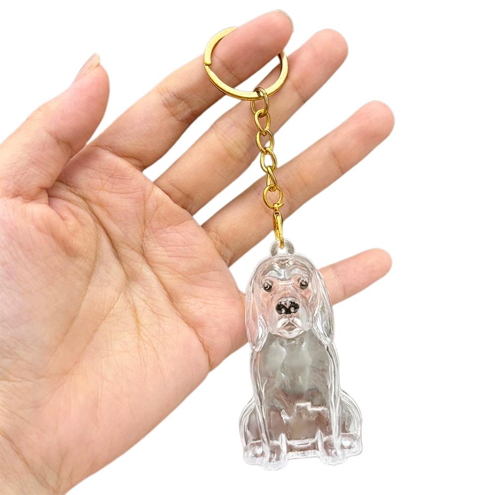 Cartoon Hundeform Hundehaar Aufbewahrungsbox Haarpflege Transparent Tierhaare Schlüsselanhänger Acryl Schlüsselanhänger Welpen Anhänger Schmuck Geschenk
