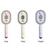 Electric Steam Brush USB-C Charging Portable Cordless Hair Tool Anti-Static Red Light Hair Brush for Both Long & Short Hairs