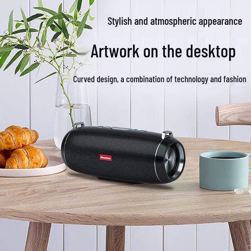 Newmine BT52 Portable Wireless Bluetooth Speaker CN plug (adapter included)
