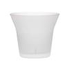 Wired Beans A glass to accompany you for life ROCK Tumbler Rocks Glass Tumbler Glass Highball Glass 370ml Comes in a Japanese Cedar Box - - - - - - -