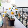 Potted Omelets Tree 3D Printed Omelette Flower Pot Ornament Desk Artificial Potted Plant for Home Living Room Garden Decor