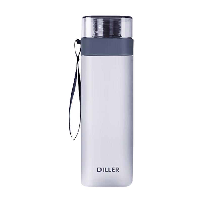 Dilebell Frosted Stainless Steel Water Bottle