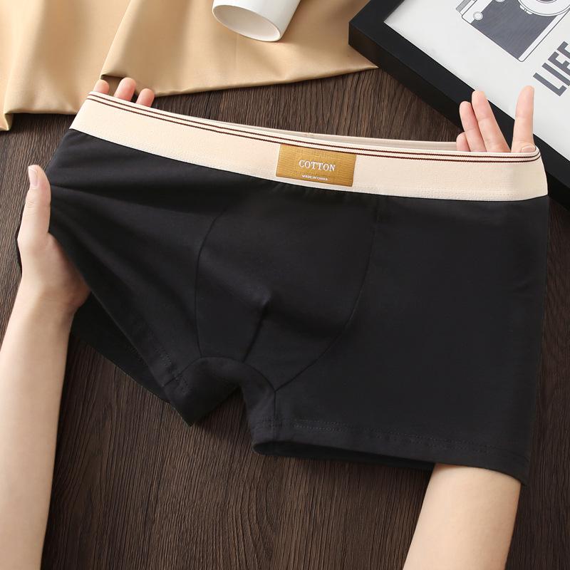 Men's Antibacterial Cotton Boxer Briefs - Breathable Summer Underwear for Teens and Boys