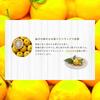 Savex Stick Lip Balm (Yuzu) [Japan Only]