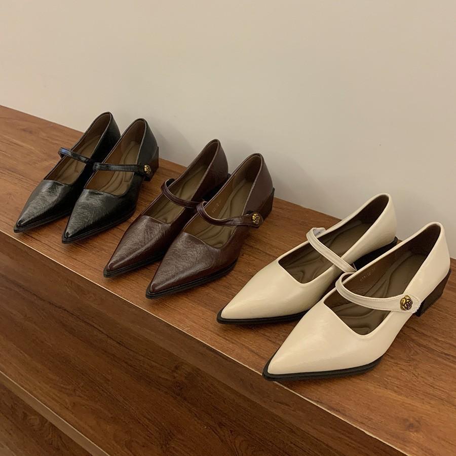Retro pointed head shallow mouth single shoes women's spring and autumn new fashion small leather shoes thick heel temperament Mary Jane shoes