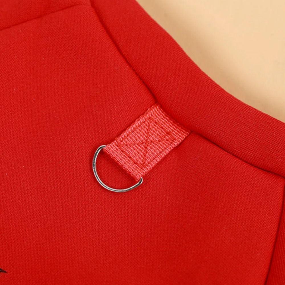 Cartoon Dragon Cats Coat Chinese Style Zodiac Dragon Dog Clothes New Year Dog Hoodies Winter