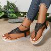 Fashion Silver Hollow Out Clip Toe Sandals Women 2025 Summer Platform Wedges Rome Sandles Woman Fashion Elastic Band Crystal Sandalias