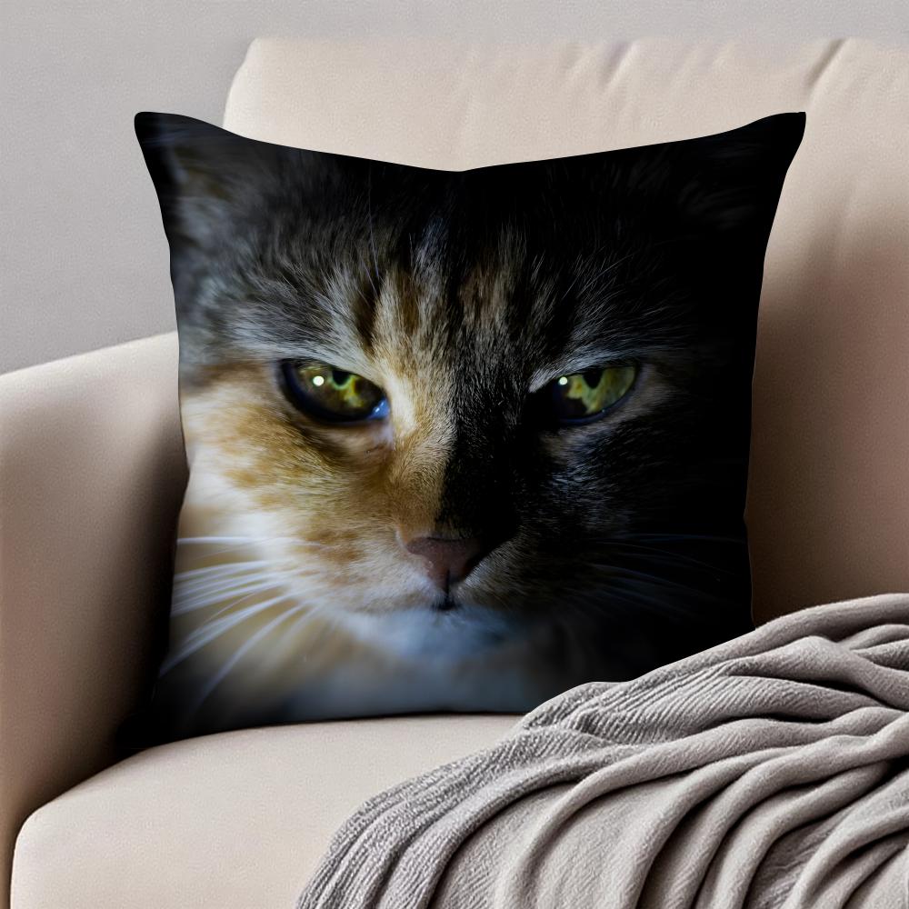 Cute Cats photograph Cushion Cover Pillowcase Antidustmite Invisible Zipper Short Plush Sofa Cushion