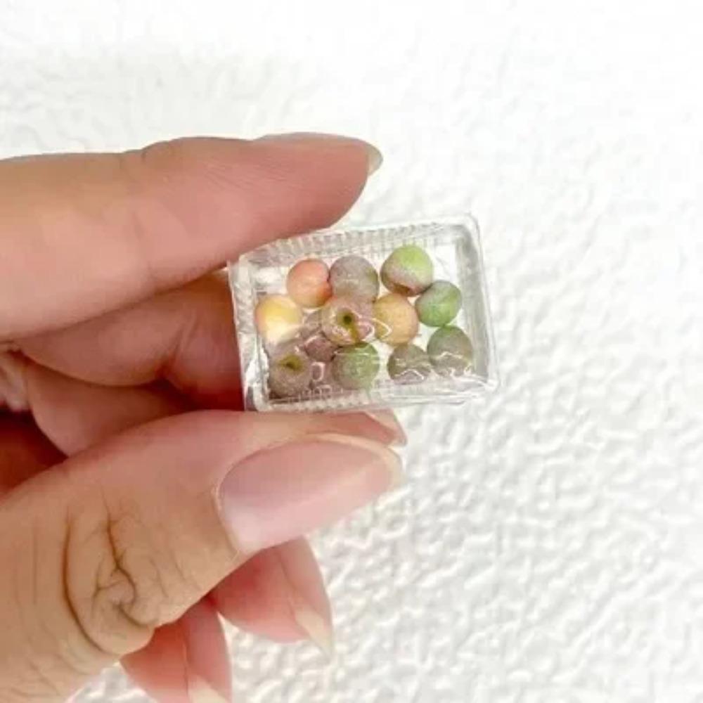 Dollhouse Miniature Items Food Simulation Fruit Miniature Food Playing Model OB11 Dollhouse DIY Furniture Decoration Accessories