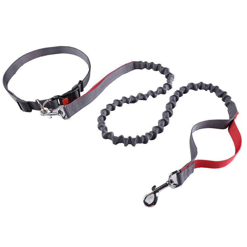New Pet Leash Running Leash Retractable Dog Walking Leash Dog Walking Pet Supplies