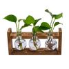 Creative Wooden Frame Hydroponic Small Vase Green Ivy Plant Glass Bottle Container Home Living Room Office Desk Decoration YLE53