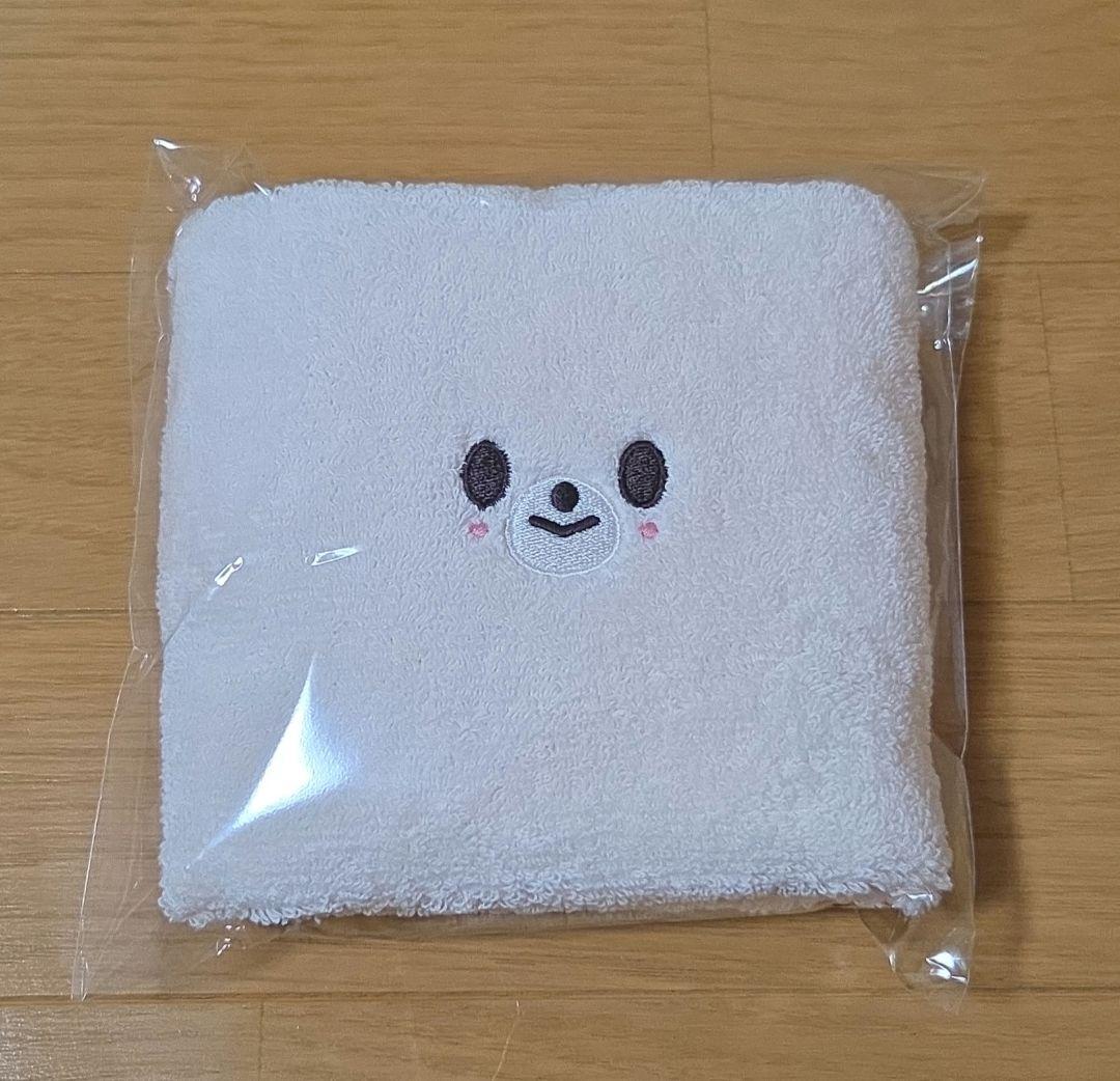 [USED] Stray Kids fan meeting admission bonus: Foxin and I.N.