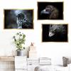Animal Oil Painting Eagle Close Up Hard Olecranon Art Canvas Painting Office Living Room Corridor Home Decoration Mural No Frame