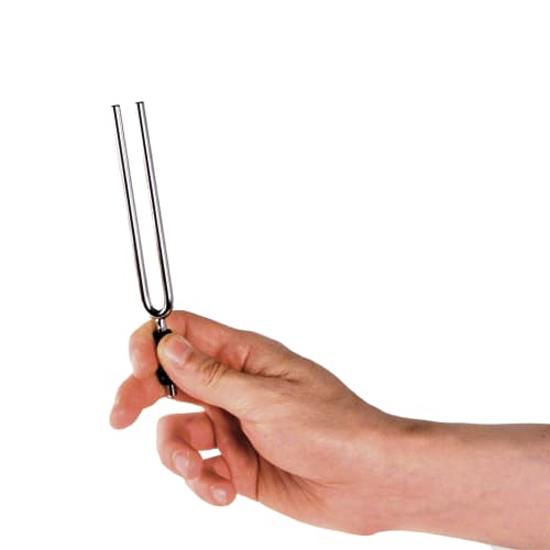 D'Addario Tuning Fork A=440Hz PWTF-A