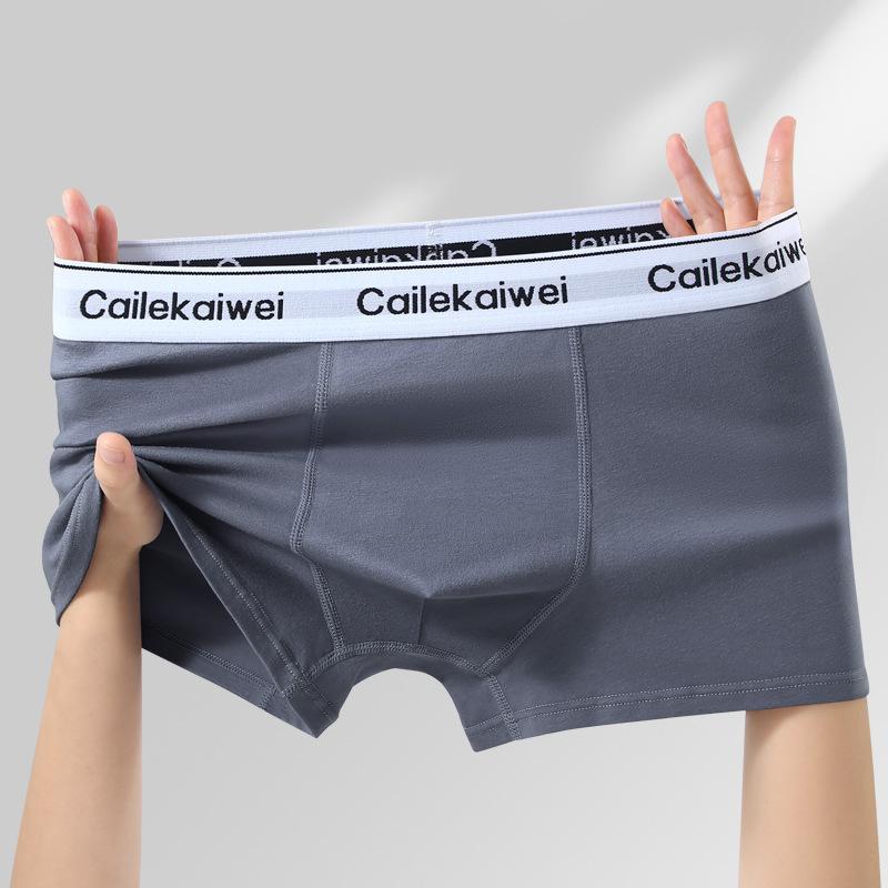 Large Size Men's Spring and Summer Cotton Anti Bacterial Breathable Youth Flat Angle Underwear