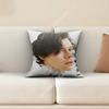 HHarry SStyles Kiss All The Time Disco Occasionally Sofa Couch Pillow Cover Cushion Case Cozy Bedroom Accent Studio Furnishing